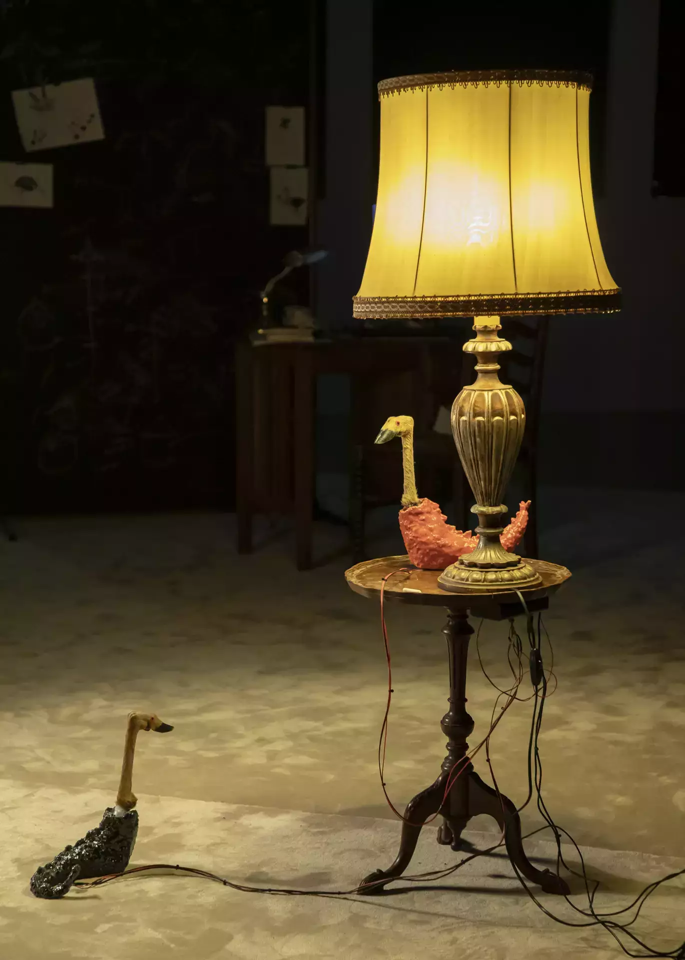 image d'illustration